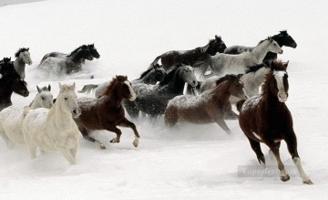Animal Painting - caballos corriendo sobre la nieve